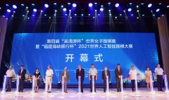 bd95d4_d60fce0c0055425494f3b44caec7d1ad~mv2